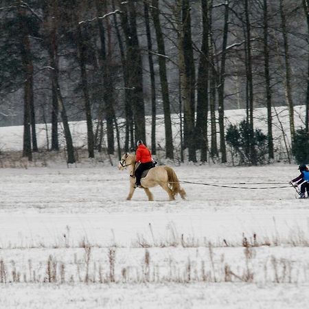 Kolorowe Wzgorze Agroturystyka I Konie Trojanow المظهر الخارجي الصورة