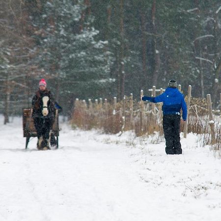 Kolorowe Wzgorze Agroturystyka I Konie Trojanow المظهر الخارجي الصورة