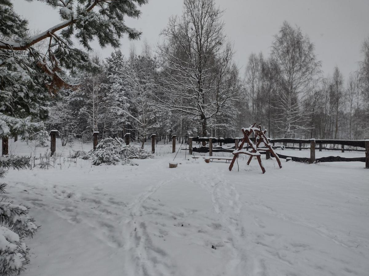 Kolorowe Wzgorze Agroturystyka I Konie Trojanow المظهر الخارجي الصورة