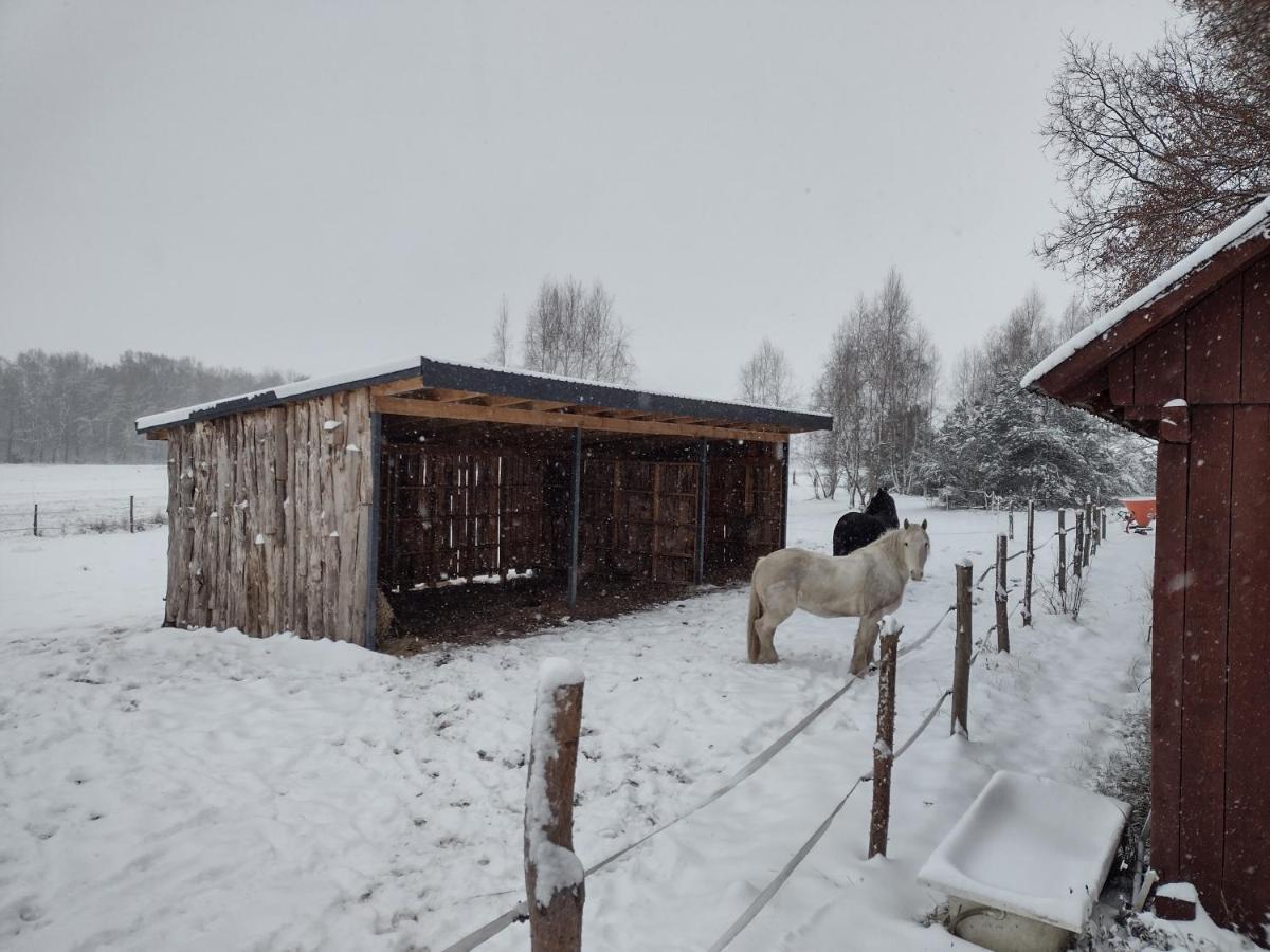 Kolorowe Wzgorze Agroturystyka I Konie Trojanow المظهر الخارجي الصورة