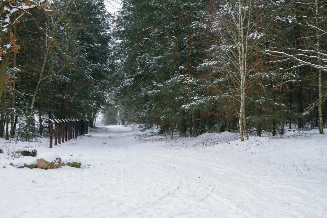 Kolorowe Wzgorze Agroturystyka I Konie Trojanow المظهر الخارجي الصورة