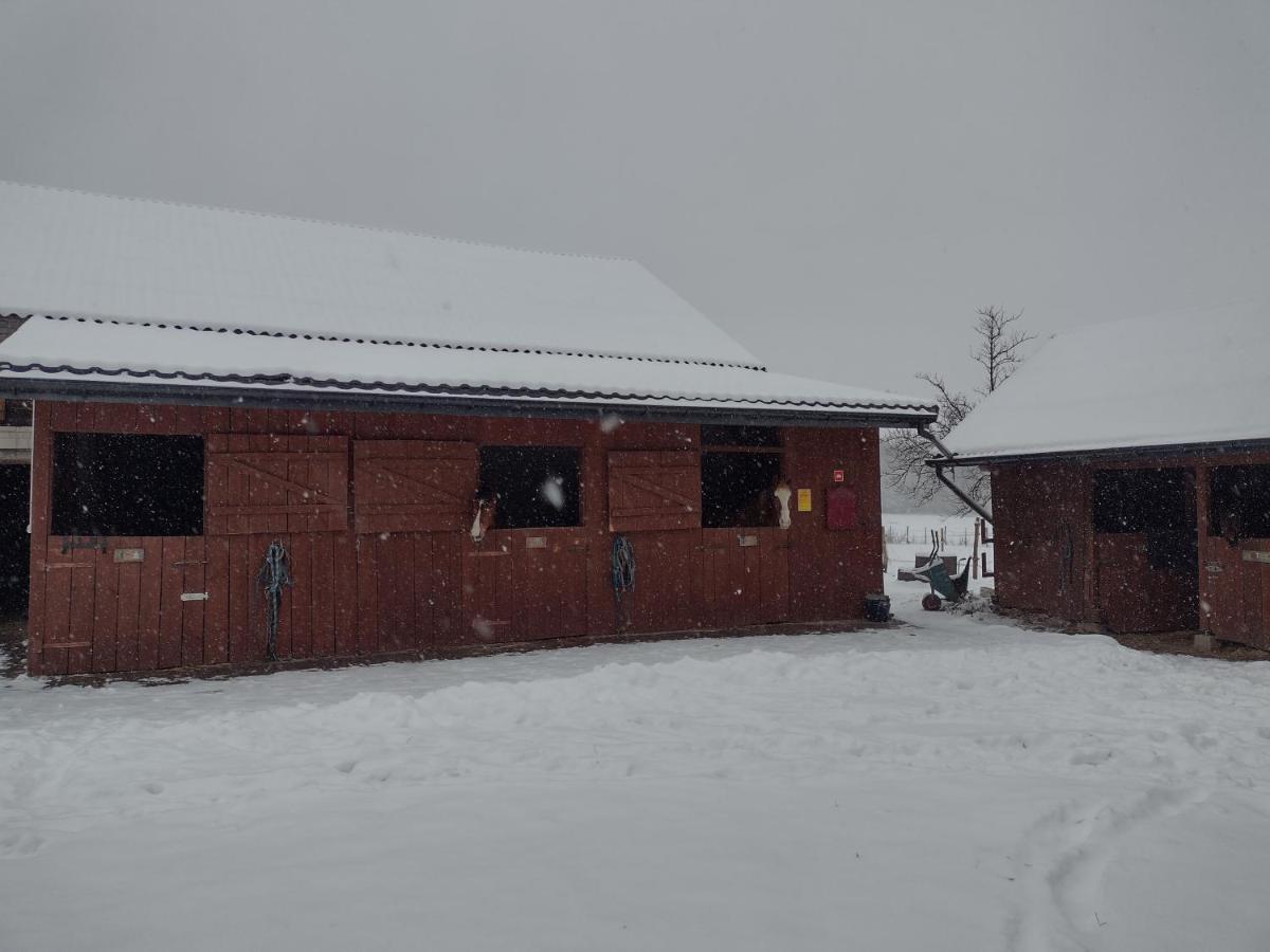 Kolorowe Wzgorze Agroturystyka I Konie Trojanow المظهر الخارجي الصورة