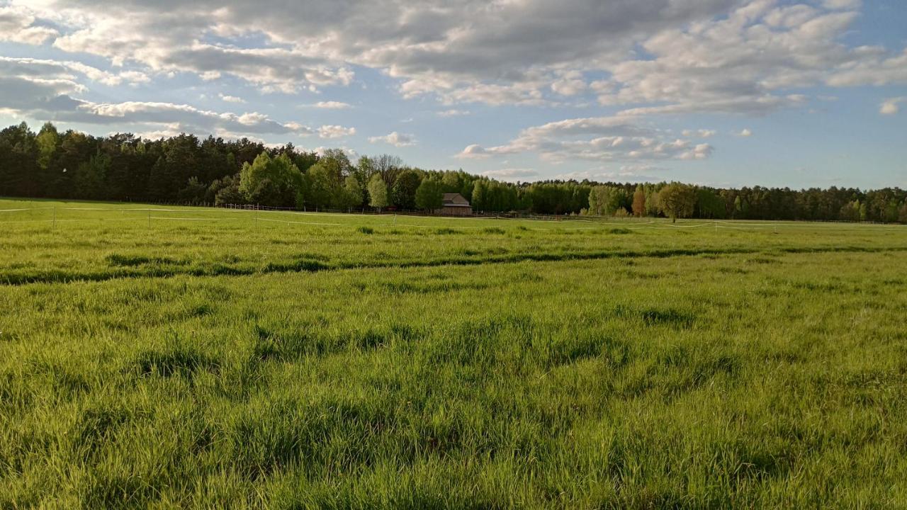 Kolorowe Wzgorze Agroturystyka I Konie Trojanow المظهر الخارجي الصورة