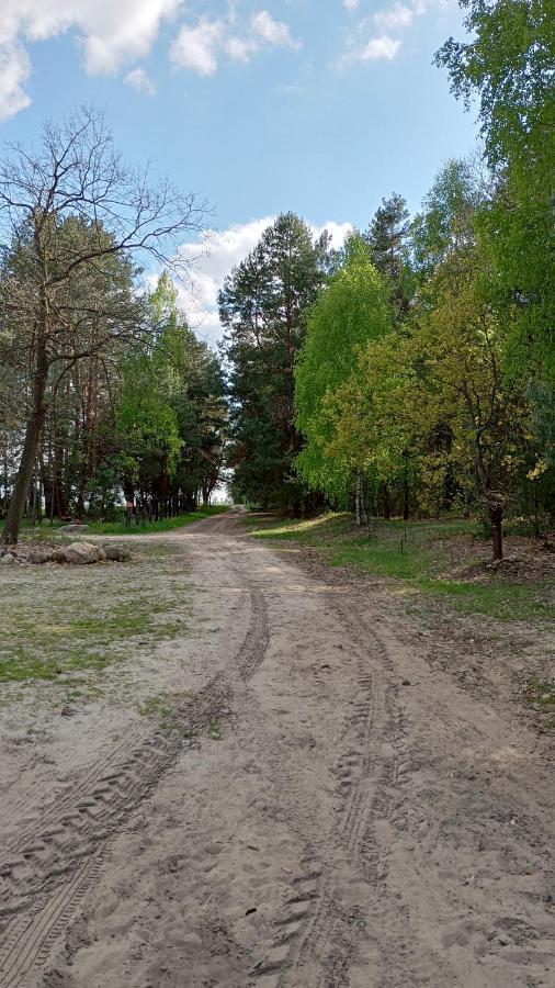 Kolorowe Wzgorze Agroturystyka I Konie Trojanow المظهر الخارجي الصورة