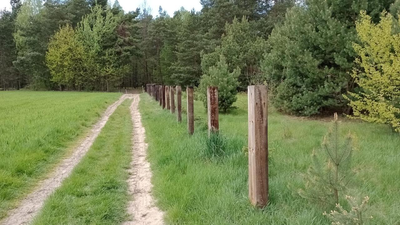 Kolorowe Wzgorze Agroturystyka I Konie Trojanow المظهر الخارجي الصورة